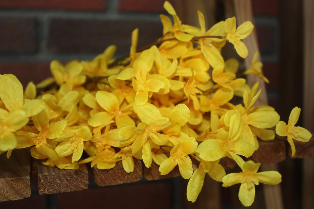 Memorial Cemetery Flowers YELLOW FORSYTHIA BUSH