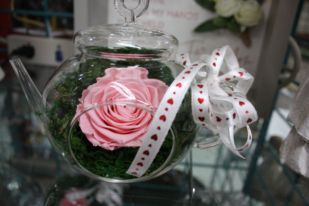 Rose/Teapot/Terrarium