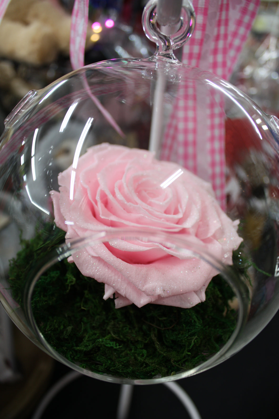 Moss/Rose  terraruim