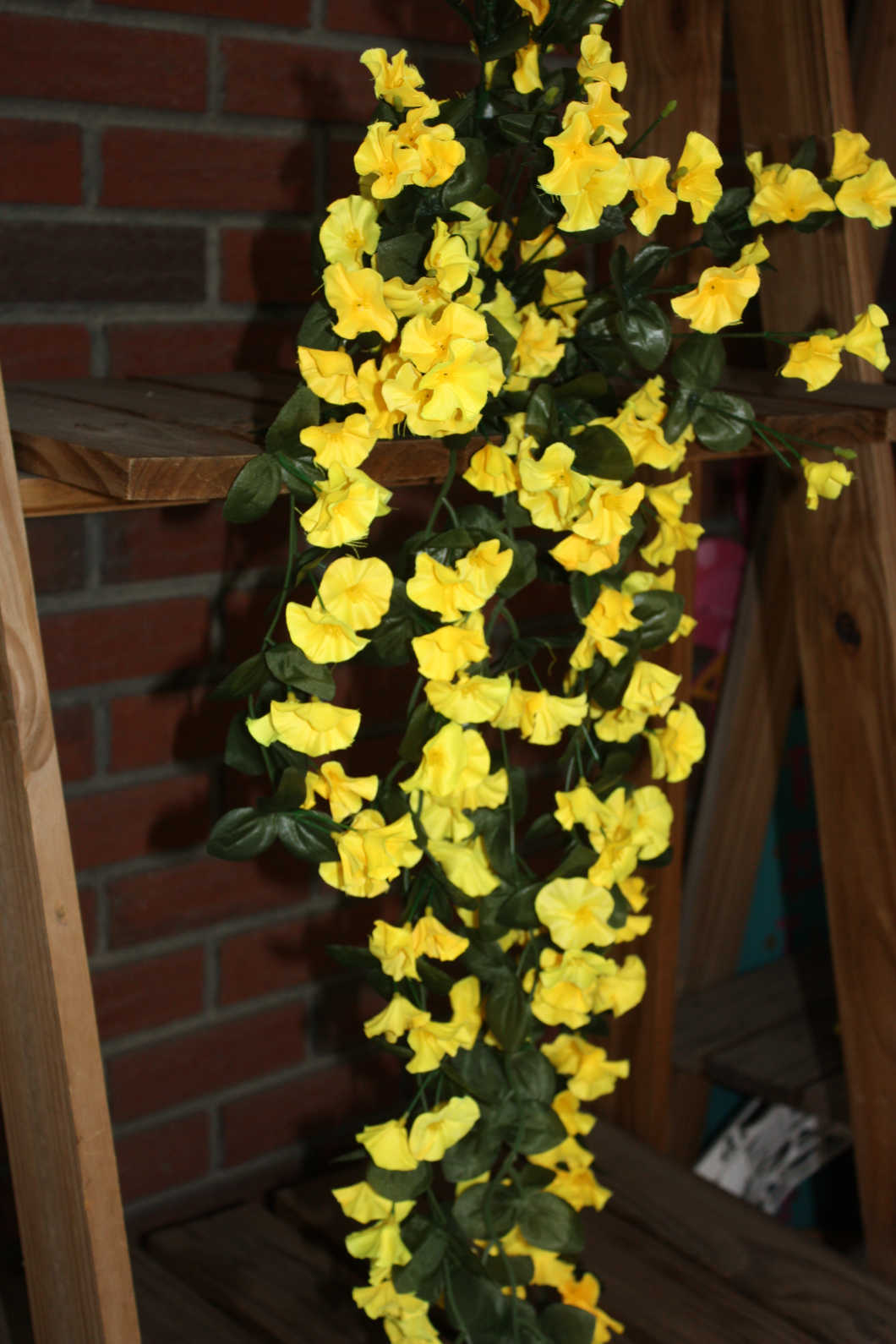 Memorial Cemetery Flowers HANGING PETUNIA