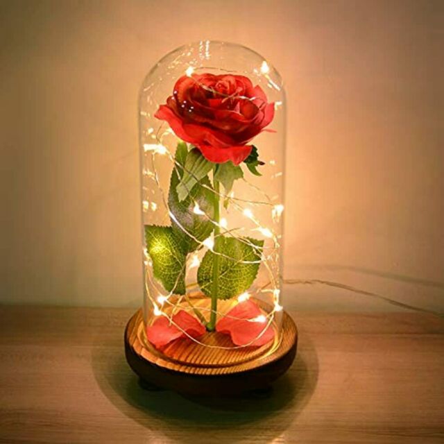 Forever Rose Globe Deanas Designs